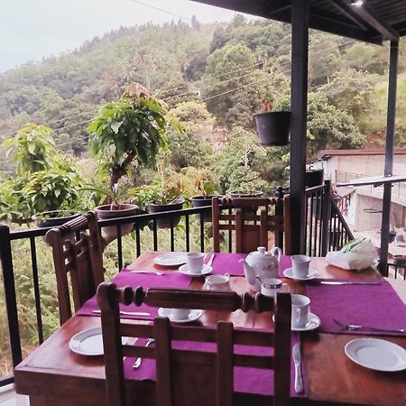 Kandy Ivy Mountain View Resort Zewnętrze zdjęcie