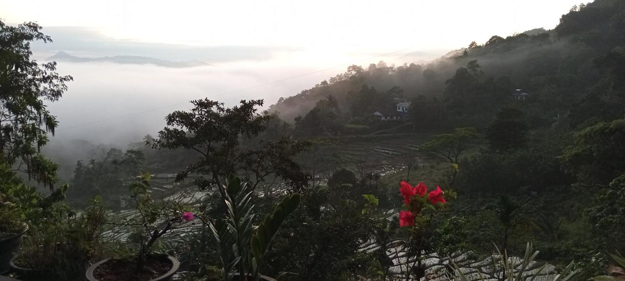 Kandy Ivy Mountain View Resort Pokój zdjęcie