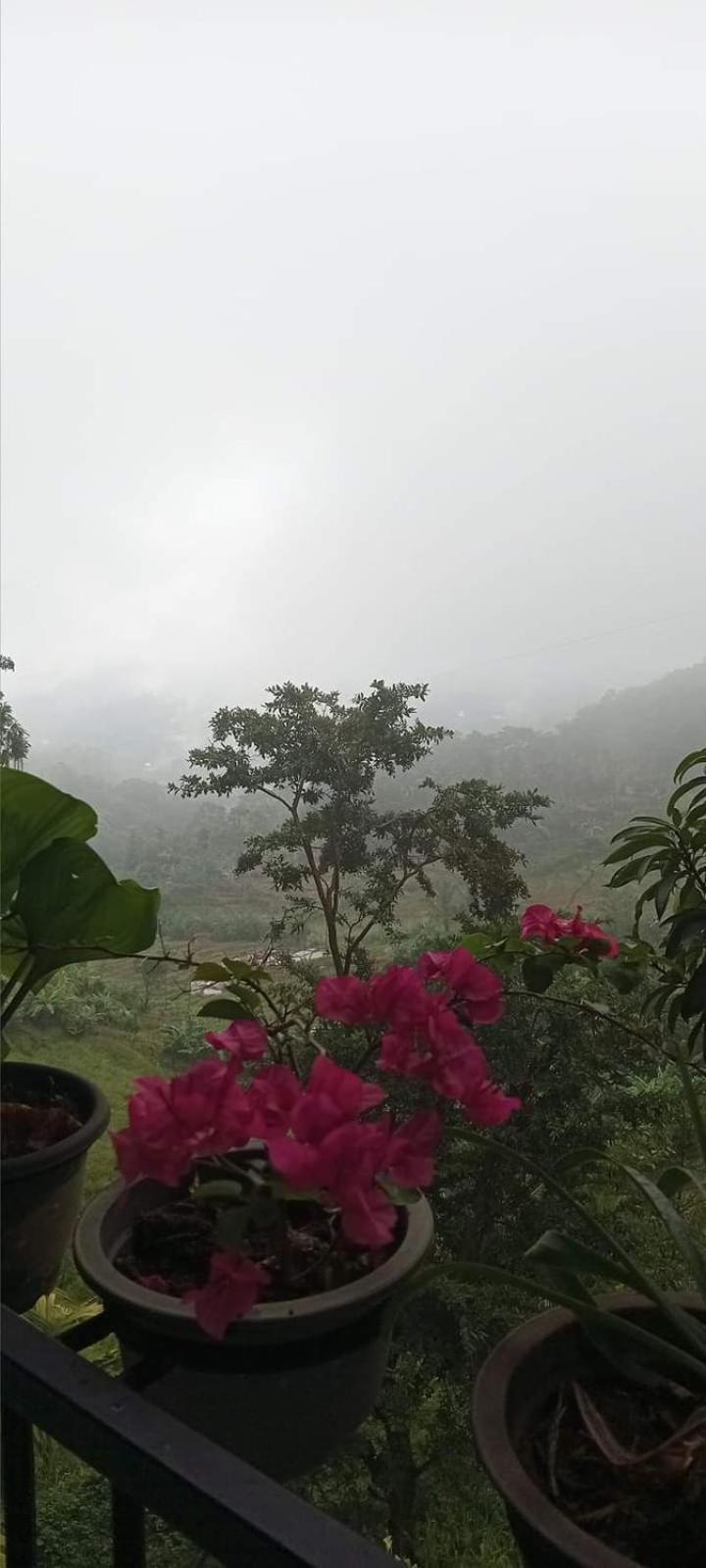 Kandy Ivy Mountain View Resort Zewnętrze zdjęcie