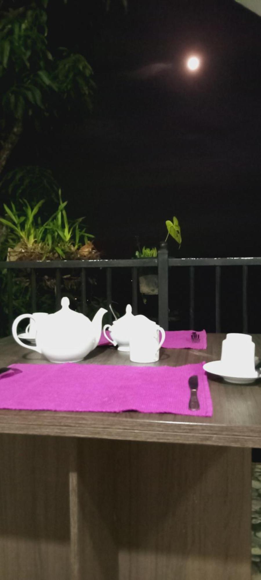 Kandy Ivy Mountain View Resort Pokój zdjęcie