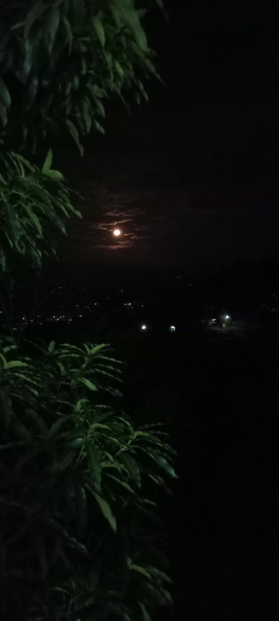 Kandy Ivy Mountain View Resort Pokój zdjęcie